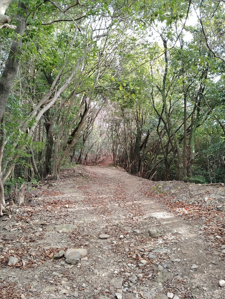 Bild hochgeladen von Victoria