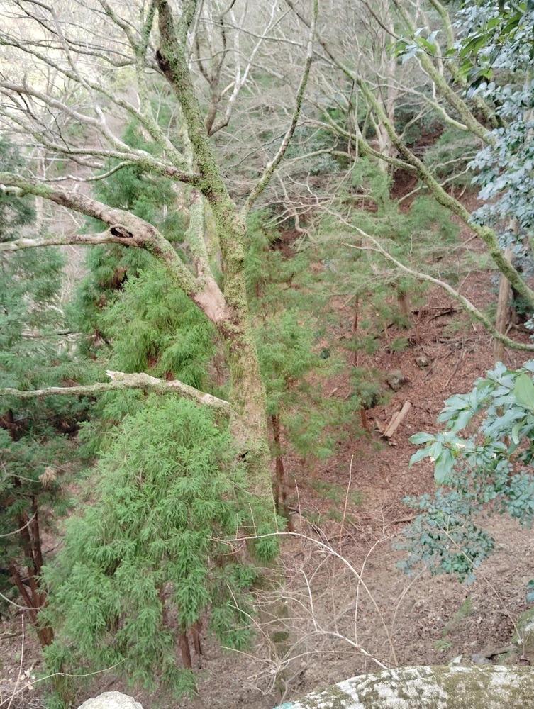 Bild hochgeladen von Victoria