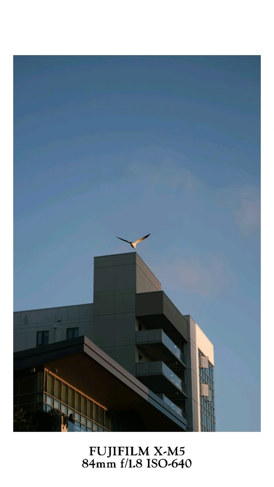 GIF uploaded by Randy