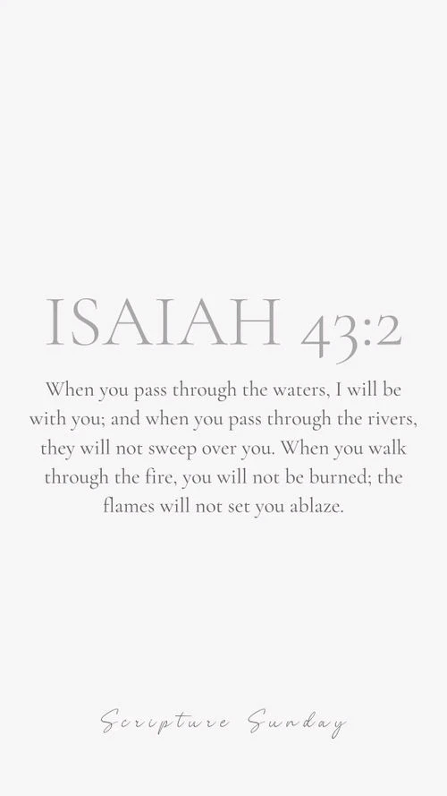 GIF uploaded by Elle