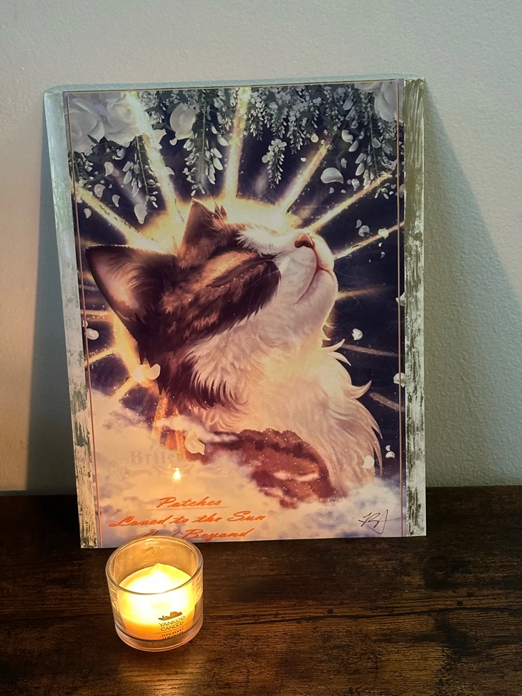 GIF uploaded by Brite