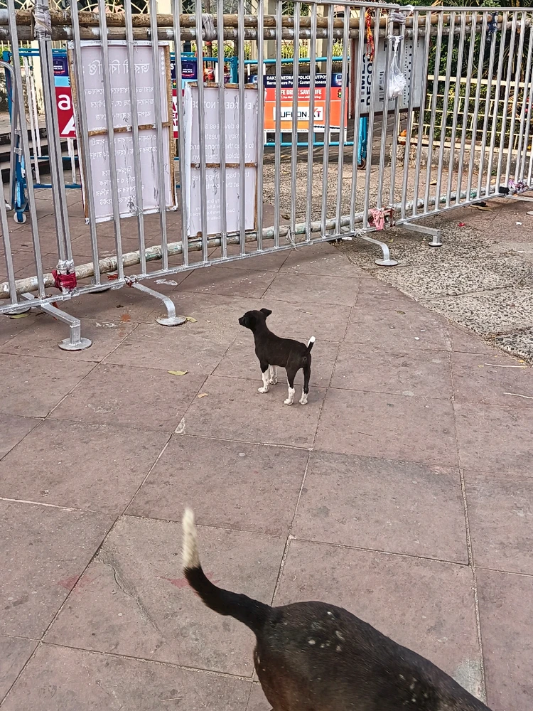 Image uploaded by Monika