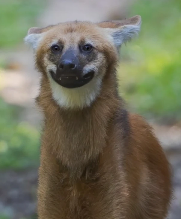 Image uploaded by Leilani