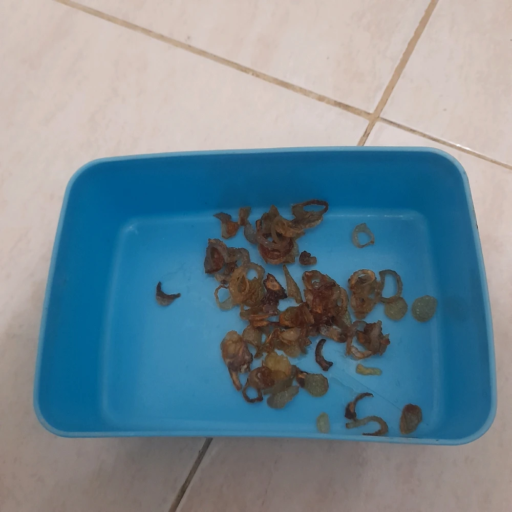 Image uploaded by Kristin Ross