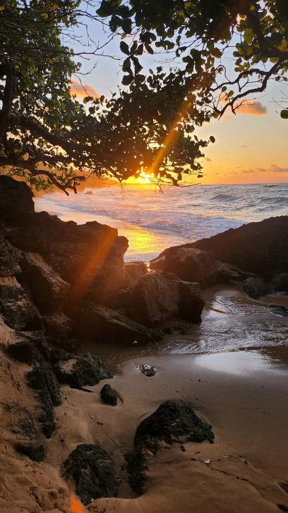 GIF uploaded by Jess