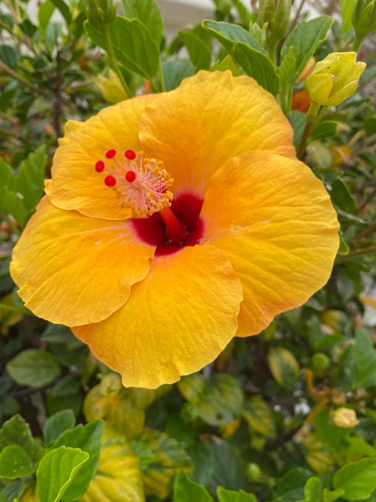 Gambar diunggah dening Kayla