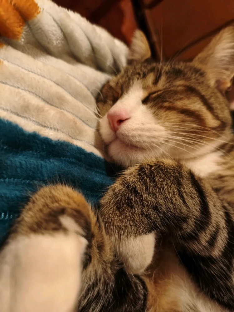 GIF subido por Pablo