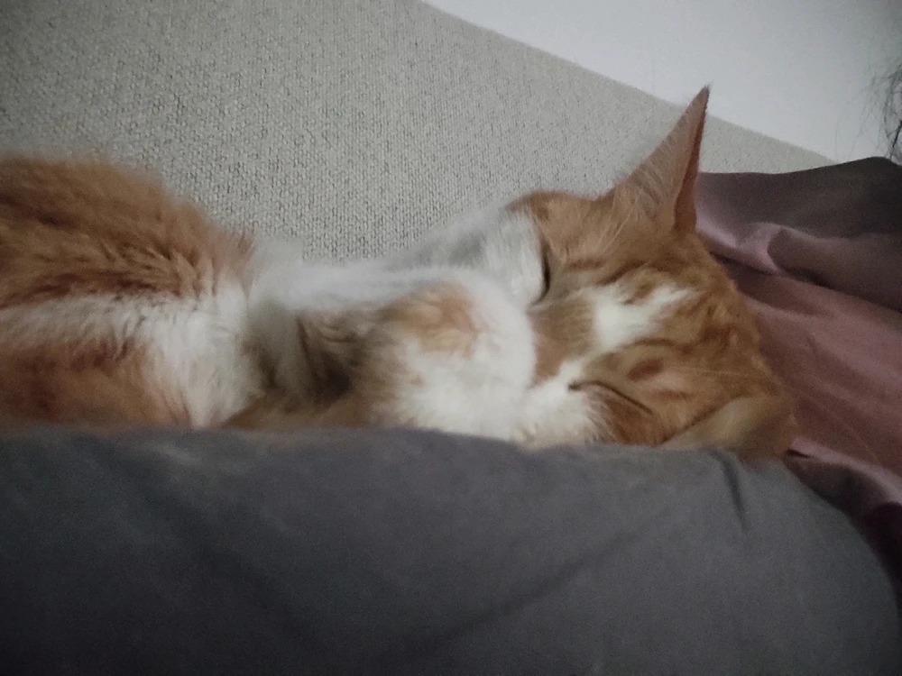 GIF ajouté par Raphaël