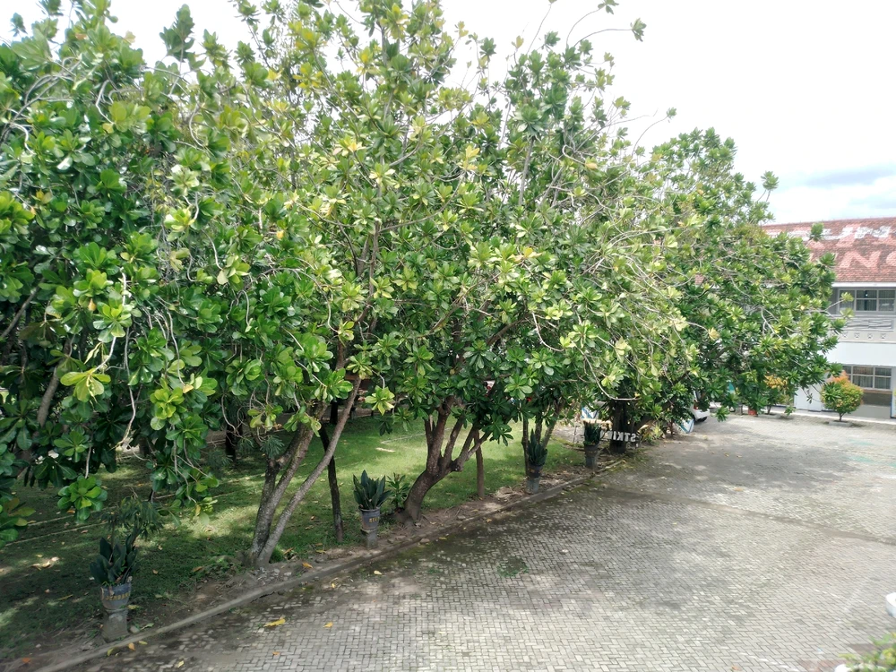 Image uploaded by Aida