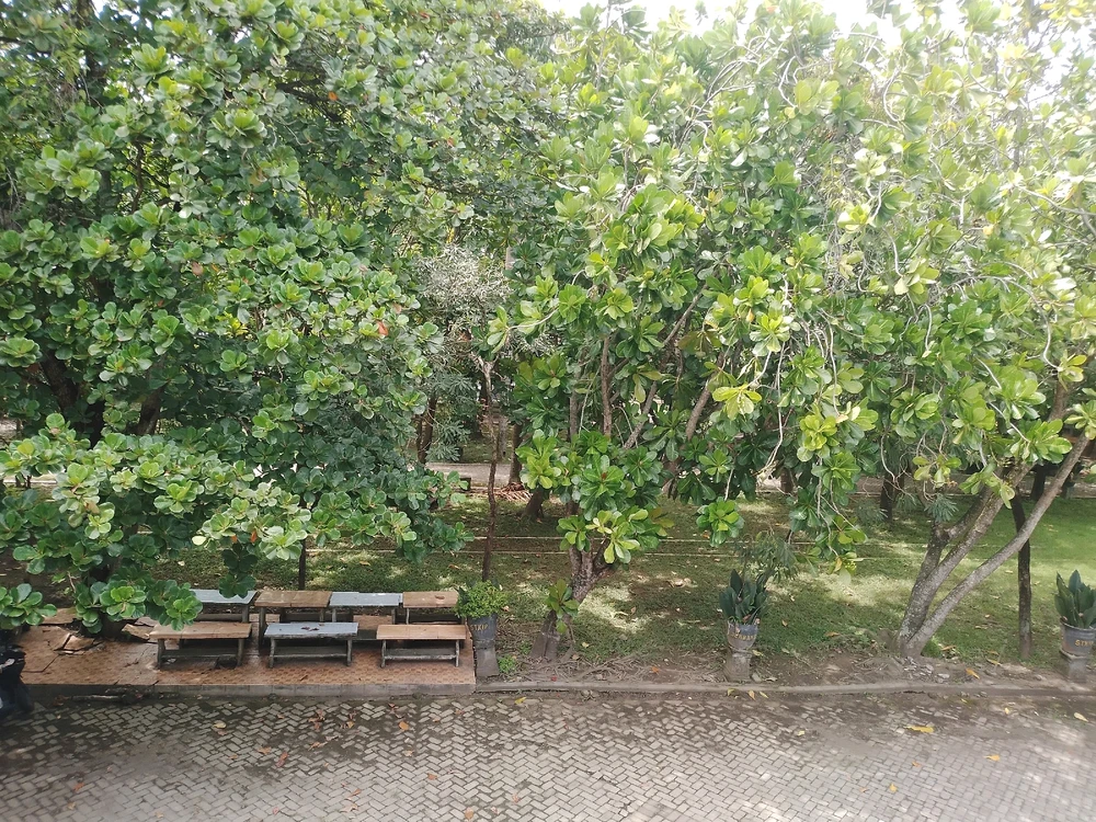 Image uploaded by Aida