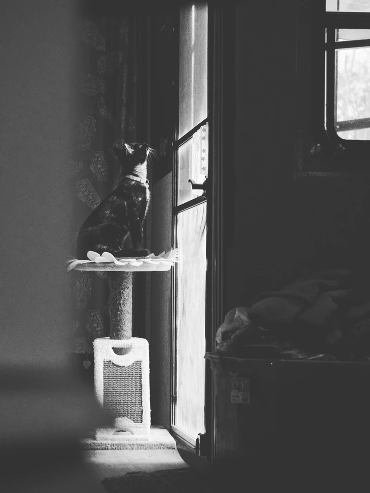 GIF uploaded by Meanie