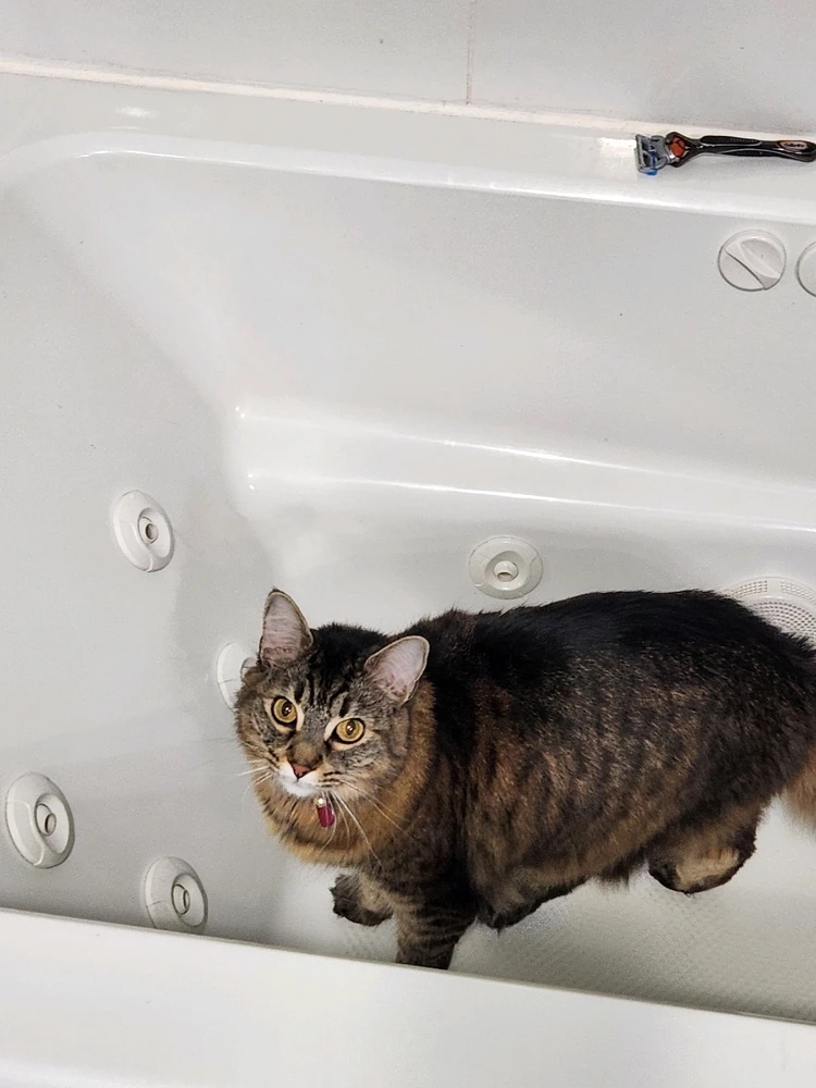 GIF uploaded by Astro