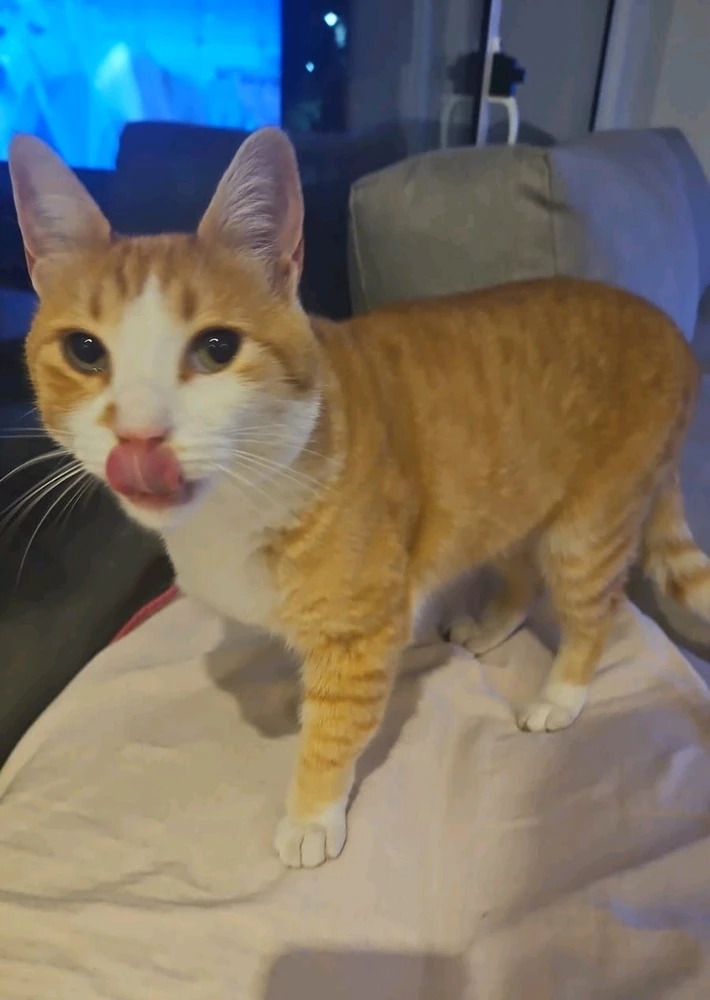 Imagen subida por connie