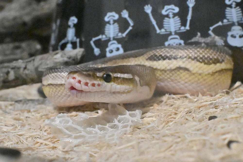 GIF uploaded by Seth