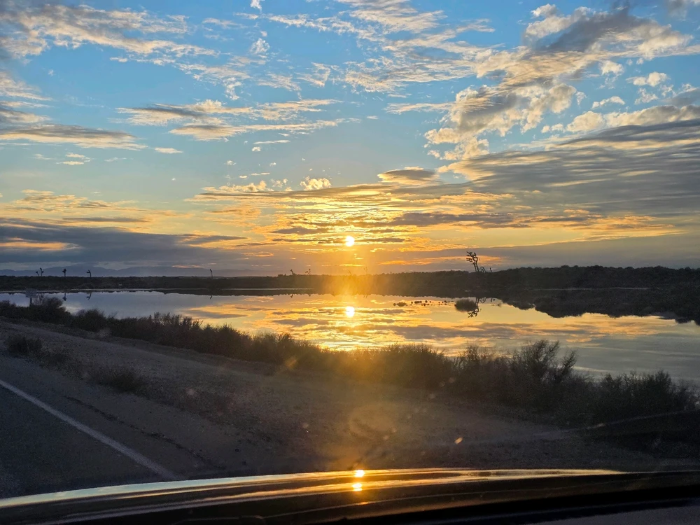 GIF uploaded by Tanner