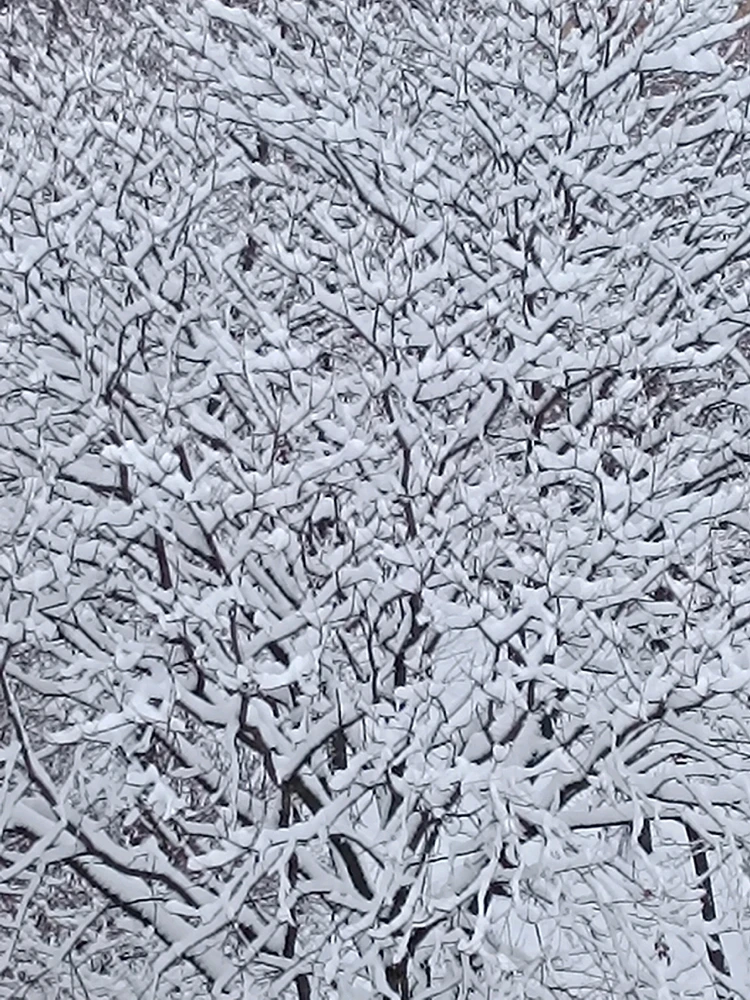 Image uploaded by Zoli