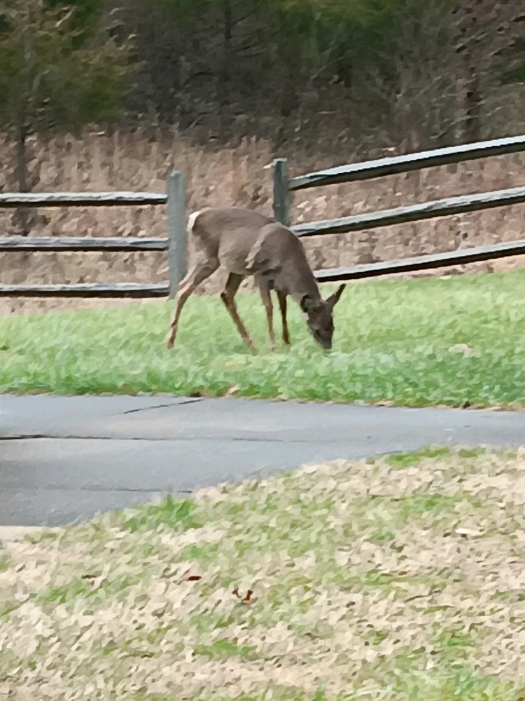 GIF uploaded by Spencer