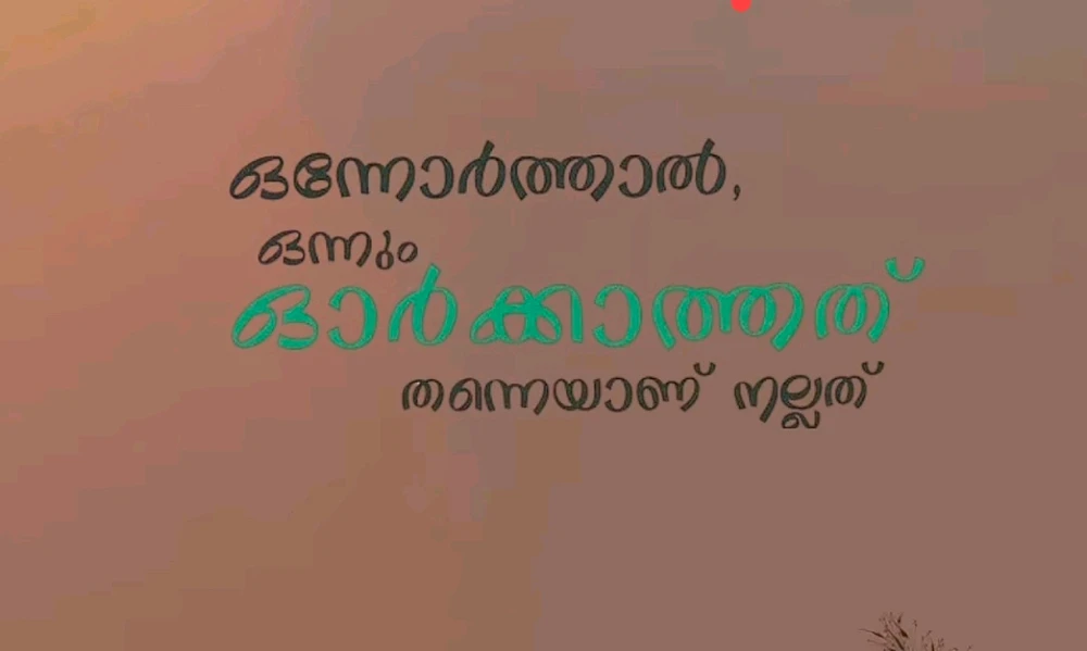 Shee അപ്ലോഡ് ചെയ്ത GIF