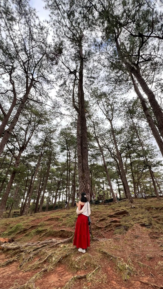 Image uploaded by Ayer