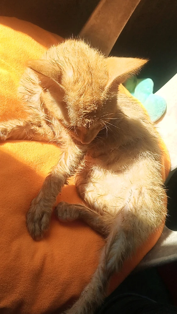 Gambar diunggah dening Zay