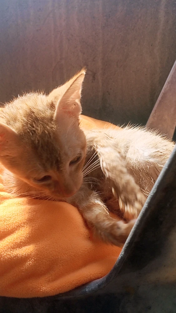 Gambar diunggah dening Zay