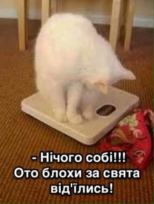 Гіфку завантажив Ksju_Ost