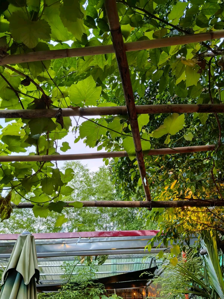 Image uploaded by Shey