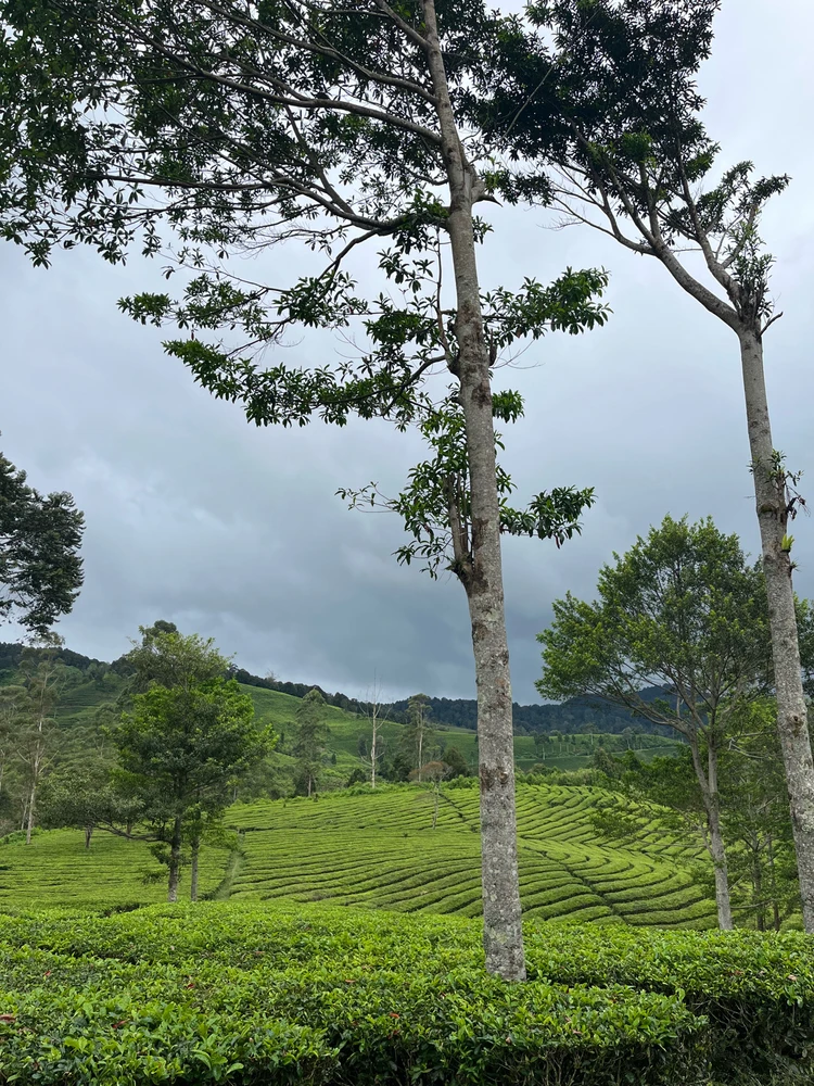 Image uploaded by ca