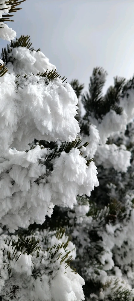 GIF caricata da Jacopo