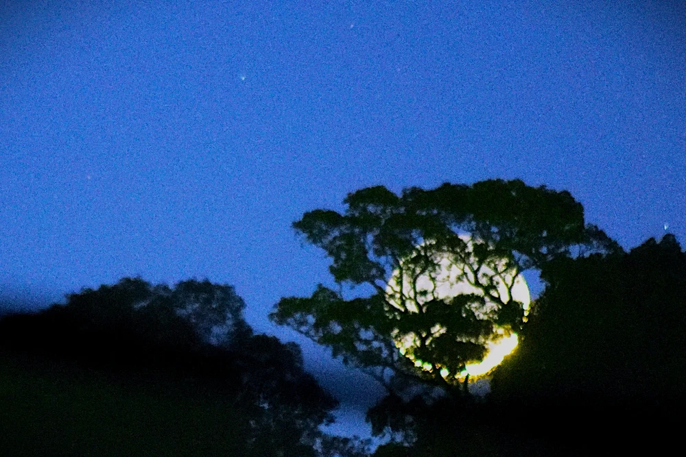 GIF uploaded by Shane