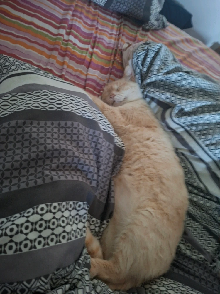 GIF caricata da Mattia