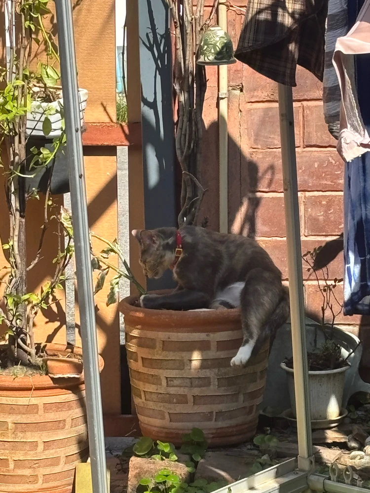 Image uploaded by Pat♡