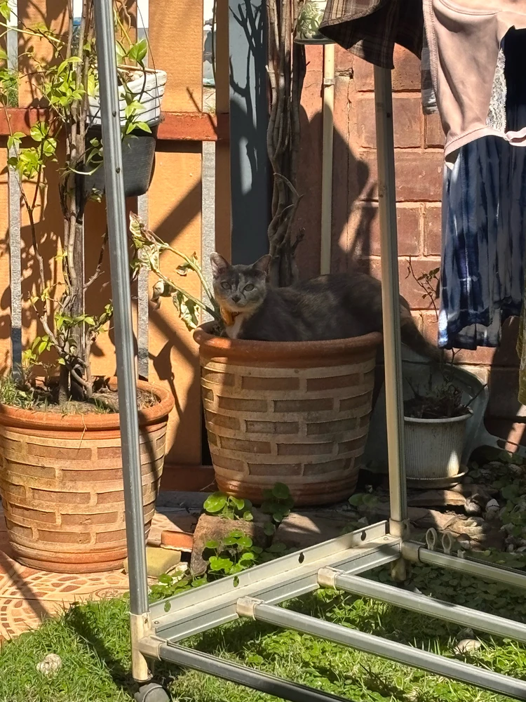 Image uploaded by Pat♡