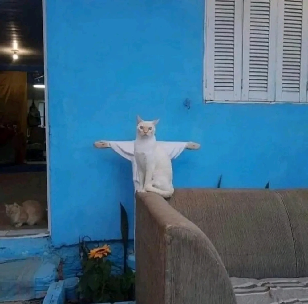 GIF uploaded by Carla