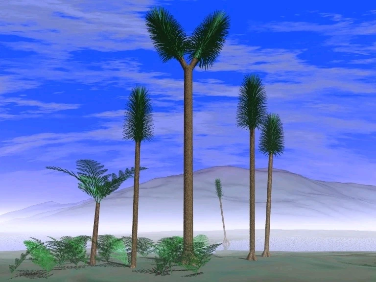 Imagem enviada por Pedro Tomaz