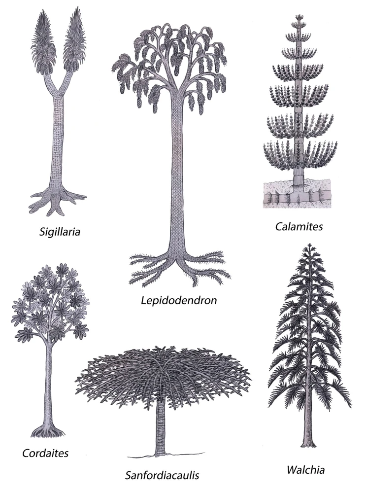 Imagem enviada por Pedro Tomaz