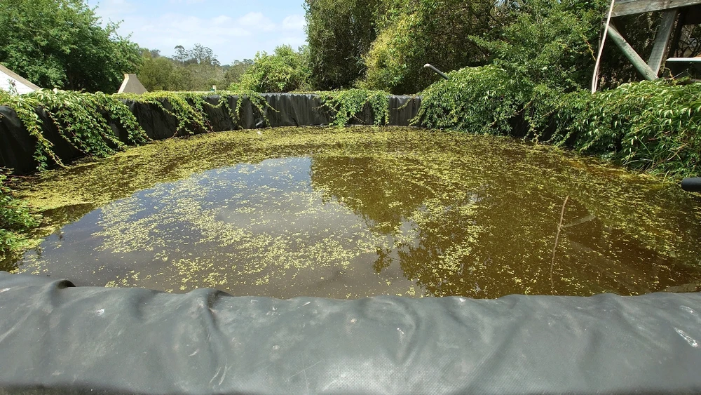 Image uploaded by CheffieGR