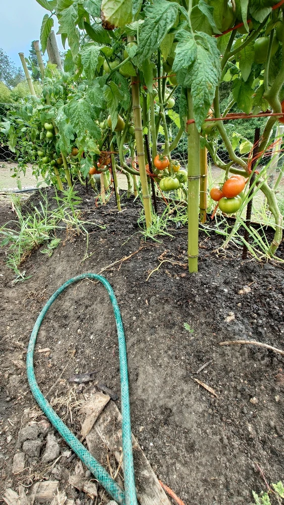 Image uploaded by CheffieGR