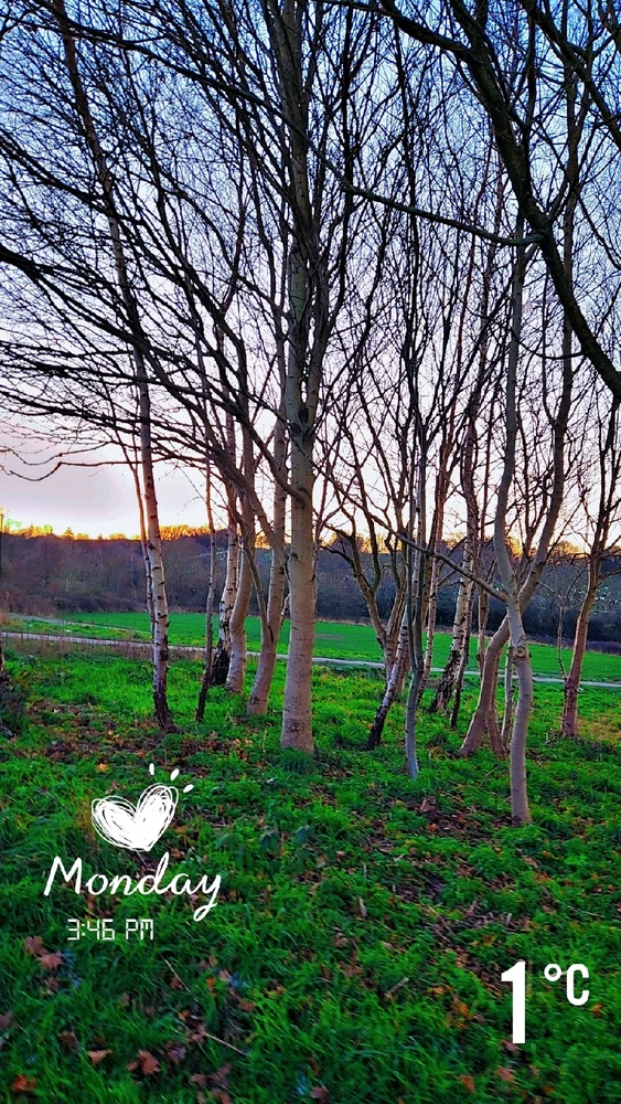 GIF uploaded by Zain Ali