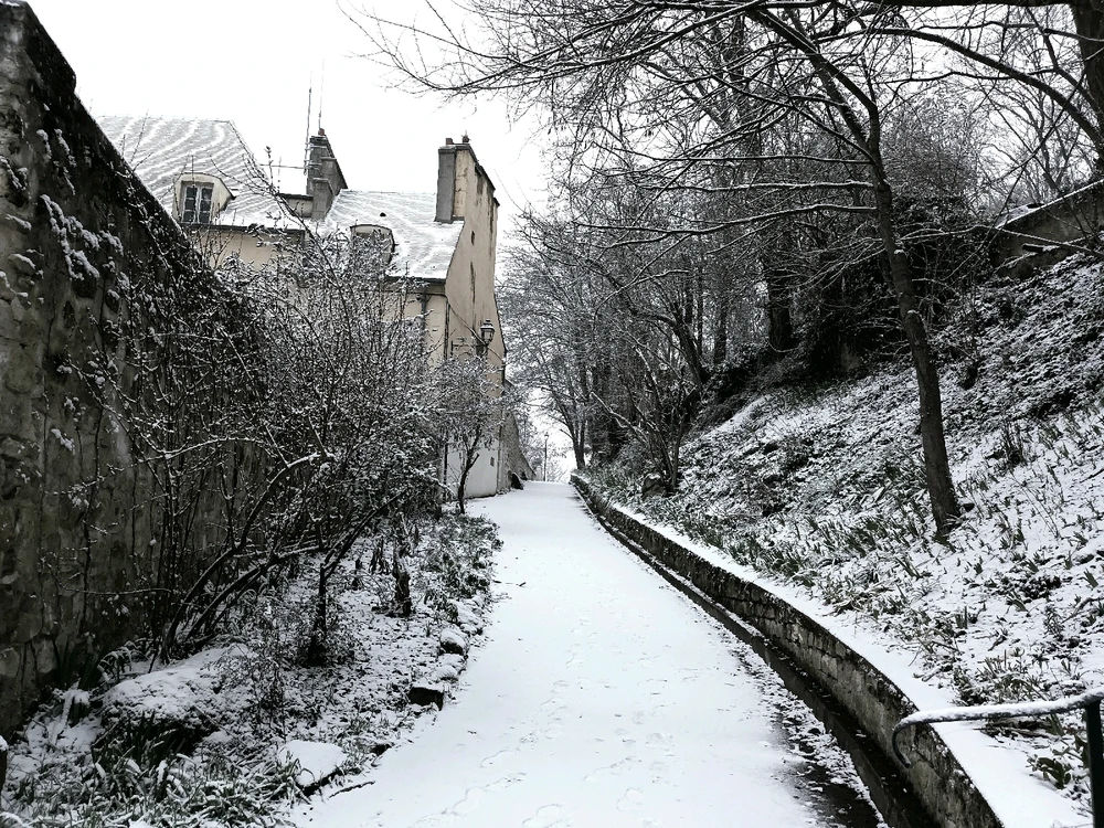 Image ajoutée par Cymoriel🦋