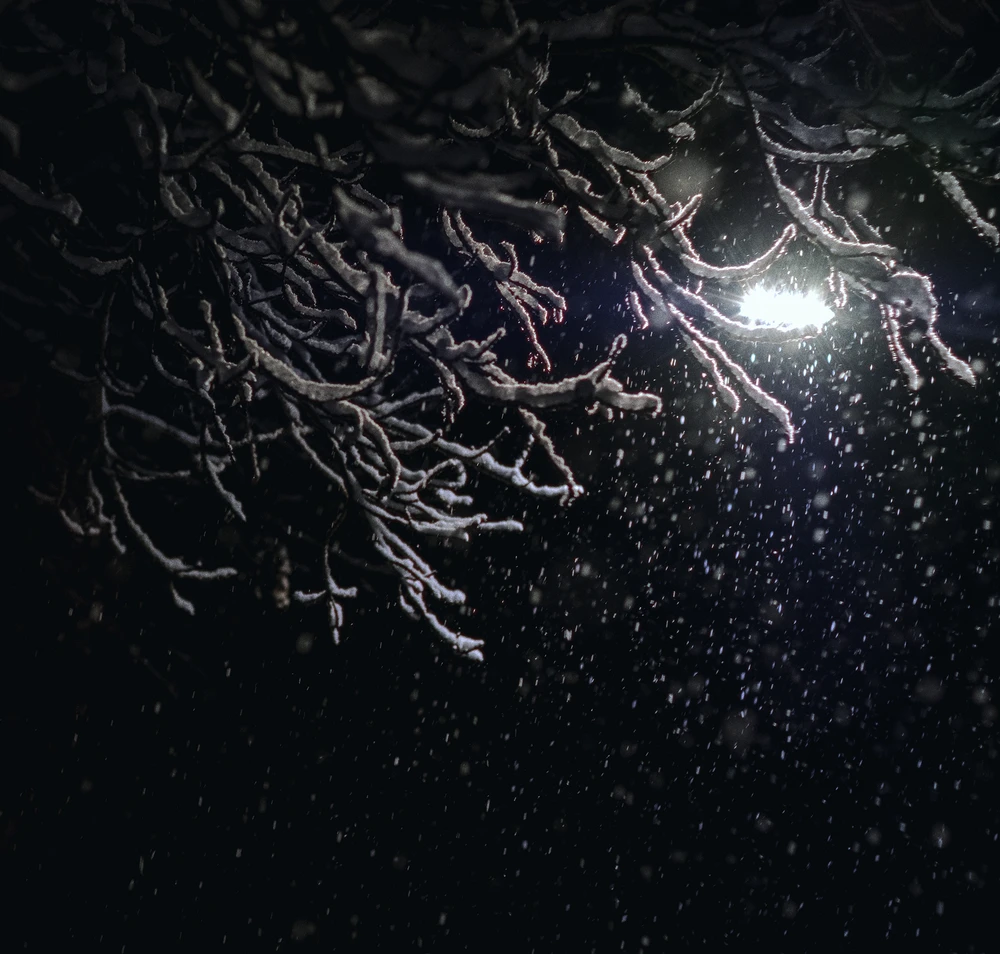 Ádám által feltöltött kép