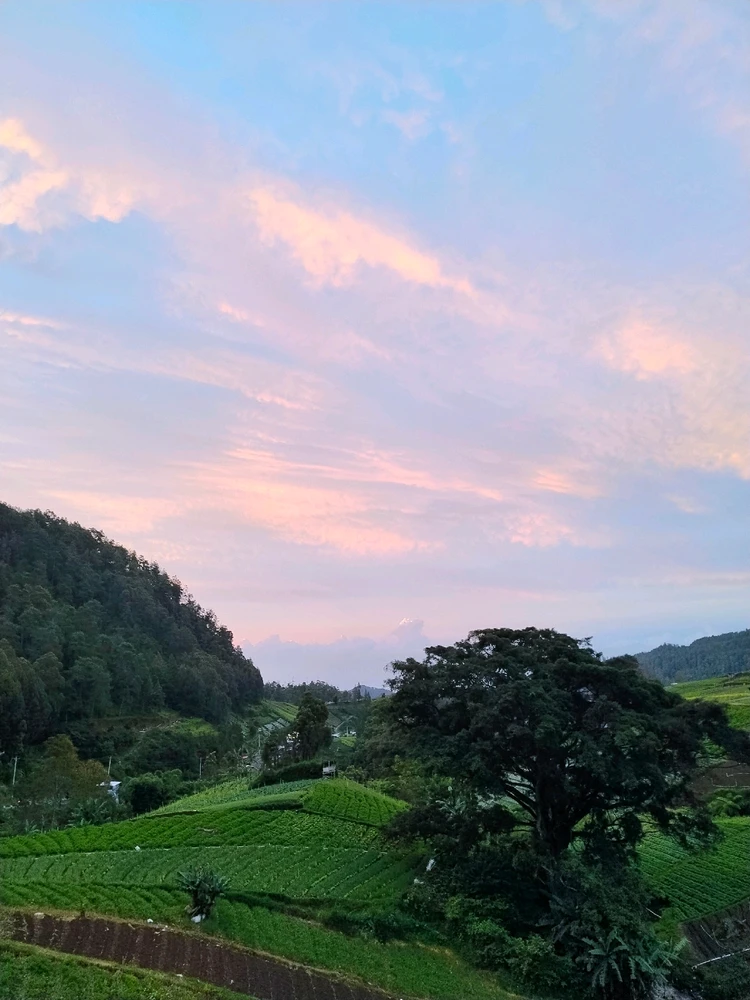 GIF uploaded by Amber