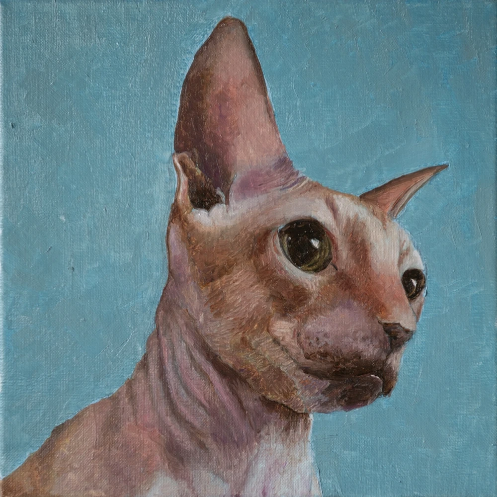 GIF geüpload door Clix