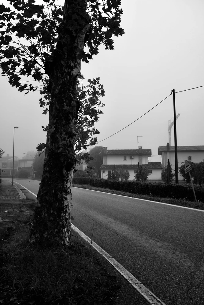 Immagine caricata da Fabio