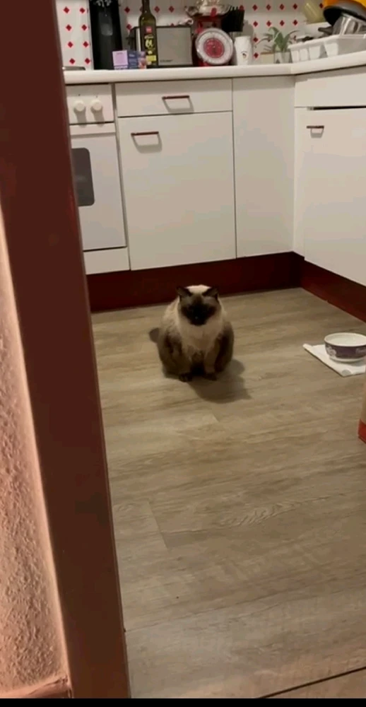 GIF hochgeladen von Henry