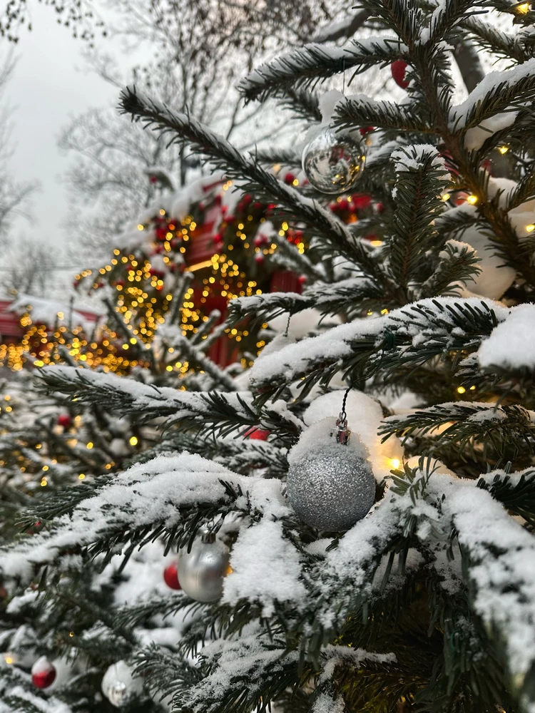 Image uploaded by Veronika