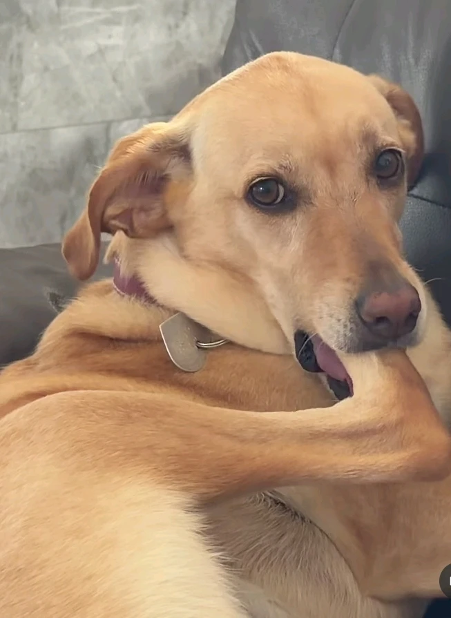 Immagine caricata da Safary zahira