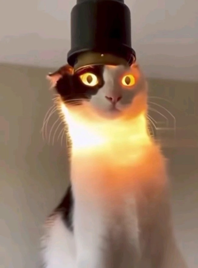 Immagine caricata da Safary zahira