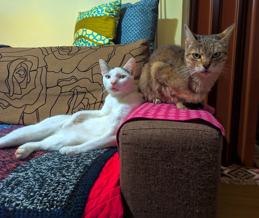 Image uploaded by Adrian