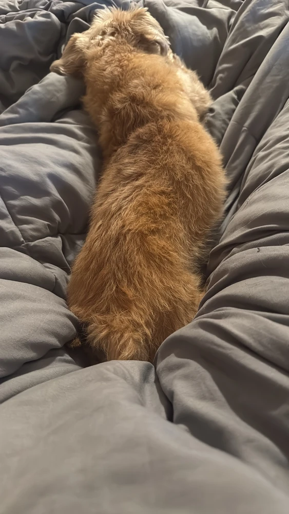 Image uploaded by Lee